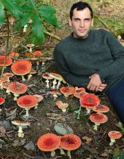Christian Schwarz with lots of A. muscaria